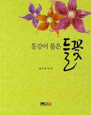 들꽃(동강이 품은)
