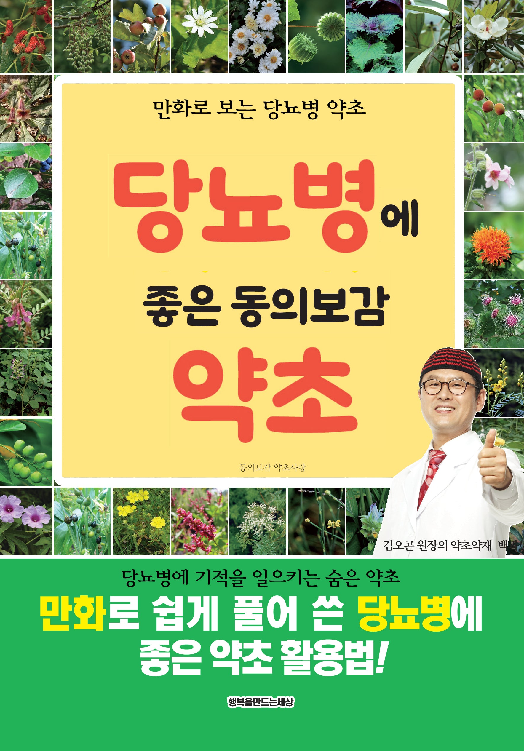 당뇨병에 좋은 동의보감 약초