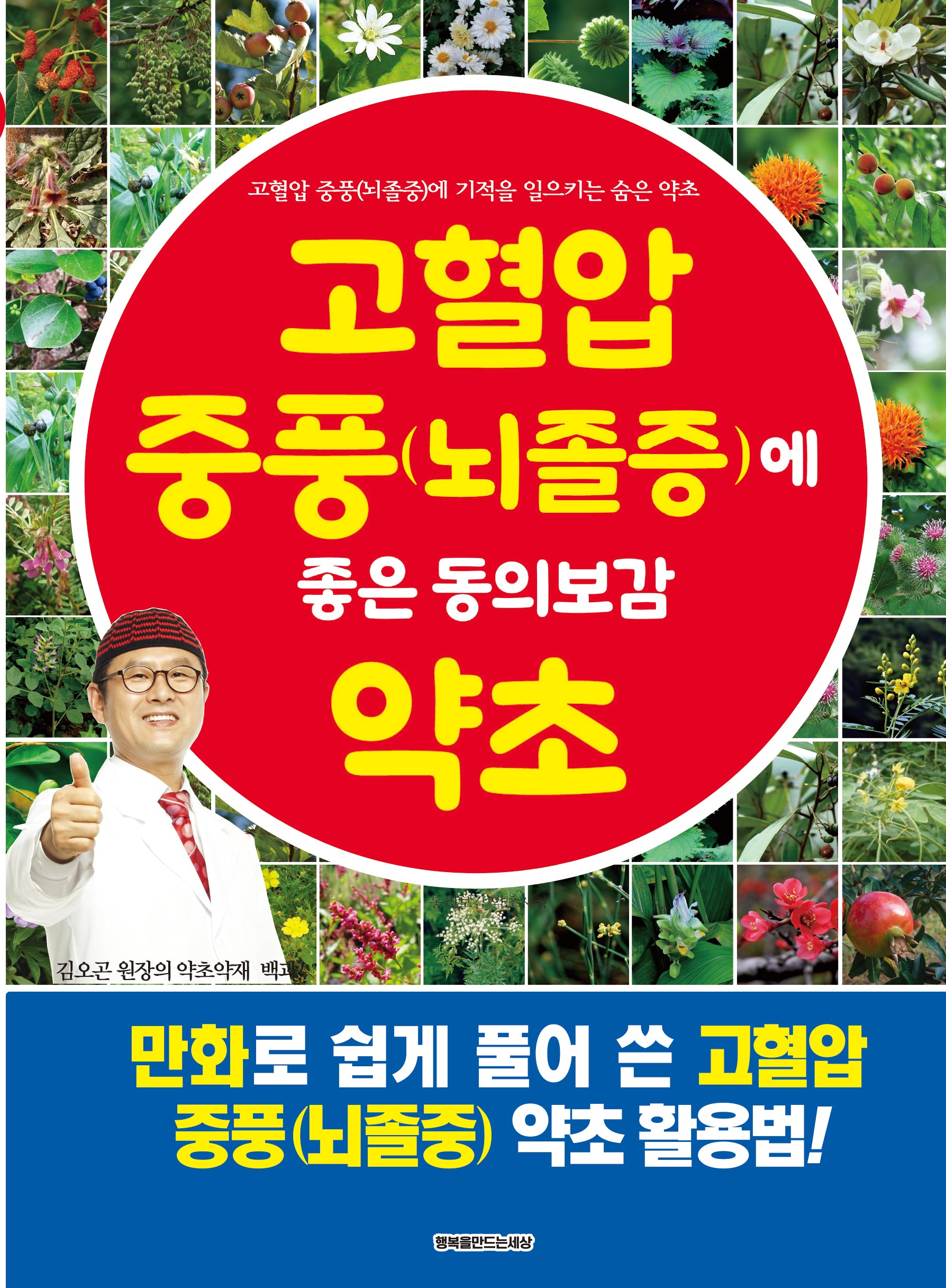 고혈압 중풍에 좋은 동의보감 약초