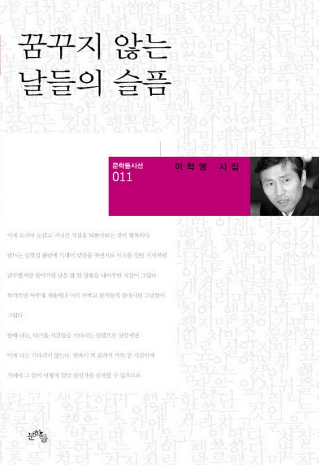 꿈꾸지 않는 날들의 슬픔(문학들시선 11)