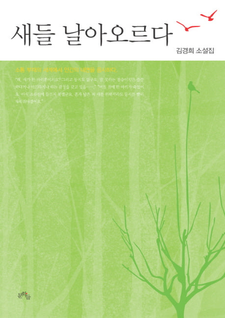 새들 날아오르다