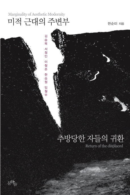 미적 근대의 주변부(양장본 Hardcover)