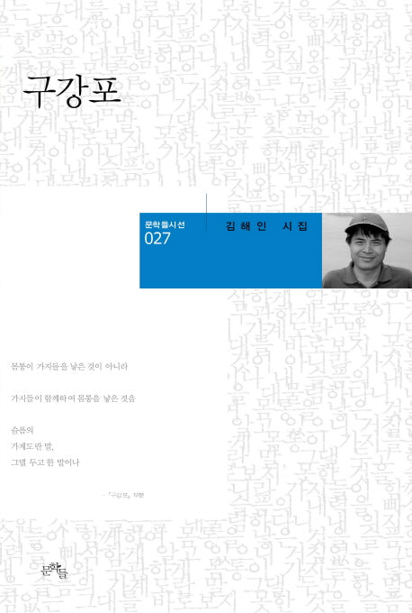 구강포(문학들시선 27)(양장본 HardCover)