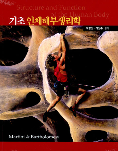 기초 인체해부생리학