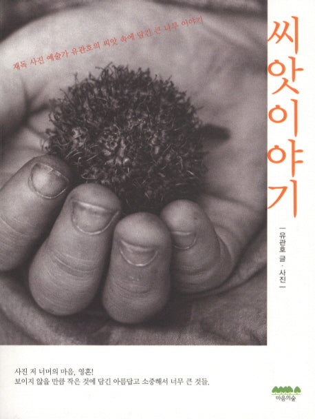 씨앗이야기
