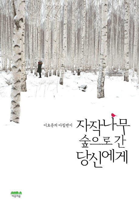 자작나무 숲으로 간 당신에게