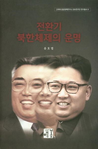 전환기 북한체제의 운명(고려대 공공정책연구소 SSK연구단 연구총서 4)
