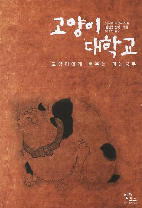 고양이 대학교