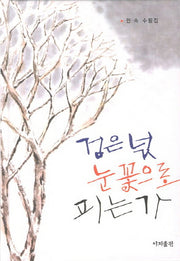 검은 넋 눈꽃으로 피는가(양장본 HardCover)