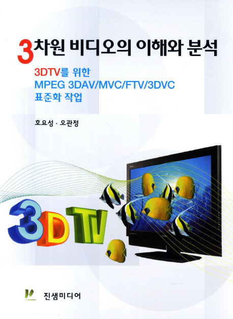 3차원 비디오의 이해와 분석