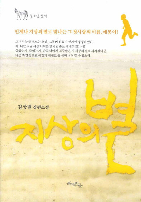 지상의 별(얼룩말 청소년 문학)