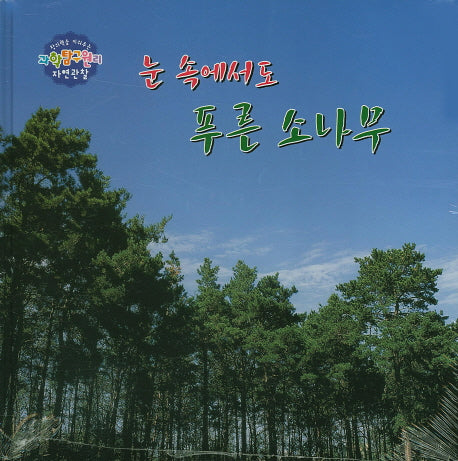눈 속에서도 푸른 소나무(창의력을 키워주는 과학탐구원리 자연관찰 7)(양장본 HardCover)