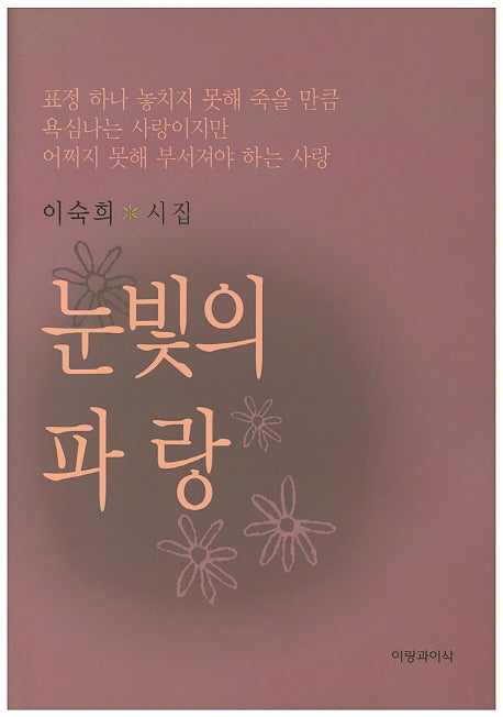 눈빛의 파랑(양장본 HardCover)