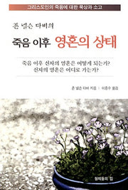 죽음 이후 영혼의 상태(존 넬슨 다비의)