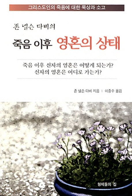 죽음 이후 영혼의 상태(존 넬슨 다비의)