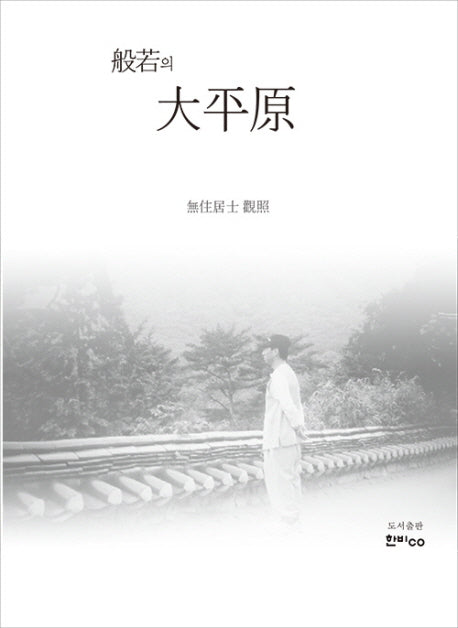 반야의 대평원(般若의 大平原)(양장본 HardCover)