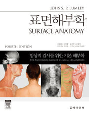 표면해부학