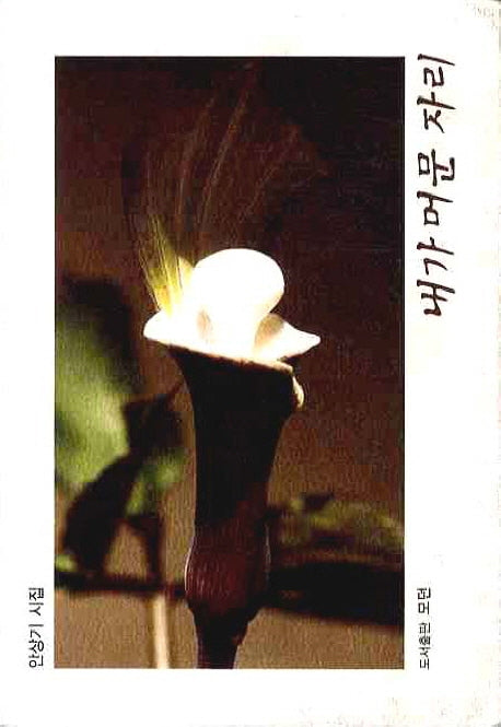 내가 머문 자리