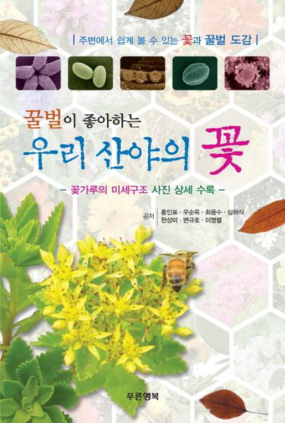 우리 산야의 꽃(꿀벌이 좋아하는)