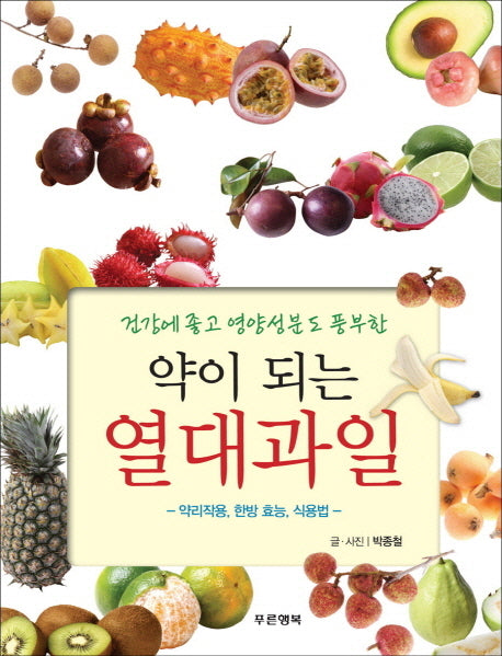 약이 되는 열대과일(건강에 좋고 영양성분도 풍부한)