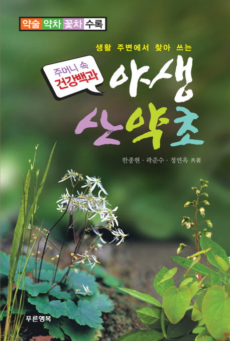 야생 산약초(생활 주변에서 찾아 쓰는)(주머니 속 건강백과)
