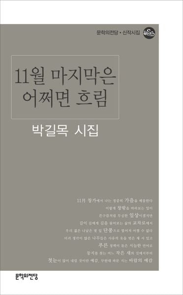 11월 마지막은 어쩌면 흐림(문학의 전당 신작시집)