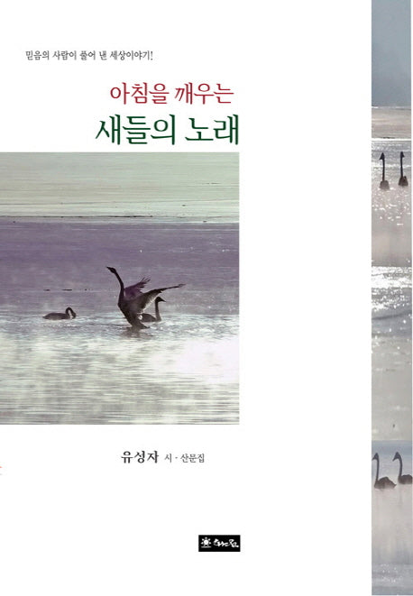 아침을 깨우는 새들의 노래