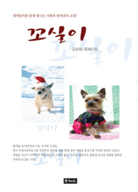 꼬실이