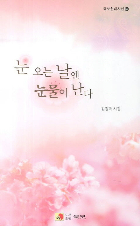 눈 오는 날엔 눈물이 난다(국보현대시선 52)