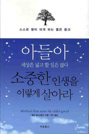 아들아 세상은 넓고 할 일은 많다 소중한 인생을 이렇게 살아라(개정판)