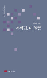 어쩌면, 내 얼굴(시로여는세상 시인선 41)