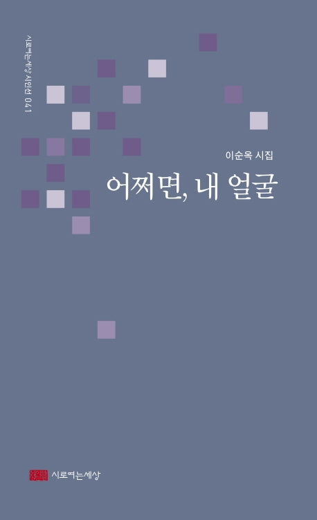 어쩌면, 내 얼굴(시로여는세상 시인선 41)