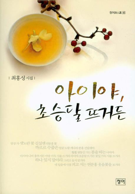 아이야 초승달 뜨거든(청어시인선 45)