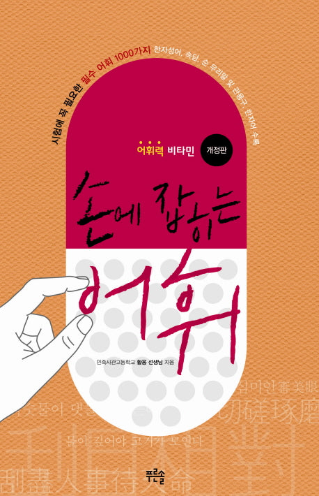 손에 잡히는 어휘(어휘력 비타민)(개정판)(Paperback)