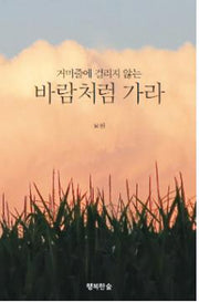 바람처럼 가라(거미줄에 걸리지 않는)(CD1장포함)