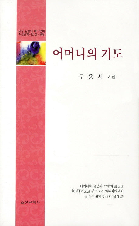 어머니의 기도(지성 감성의 메타언어 조선문학시인선 289)