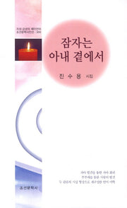 잠자는 아내 곁에서(조선문학시인선 300)