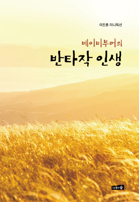 반타작 인생(베이비부머의)