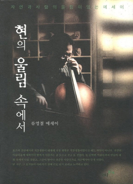 현의 울림 속에서