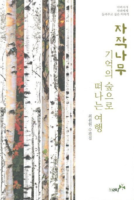 자작나무 기억의 숲으로 떠나는 여행