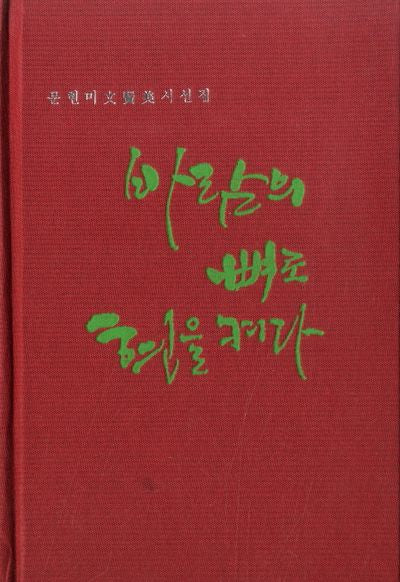 바람의 뼈로 현을 켜다(양장본 Hardcover)