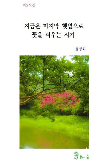 지금은 마지막 햇볕으로 꽃을 피우는 시기