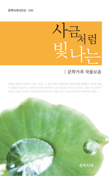 사금처럼 빛나는(문학사계시인선 30)