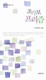 조각보 프리즘(문학사계시인선 28)