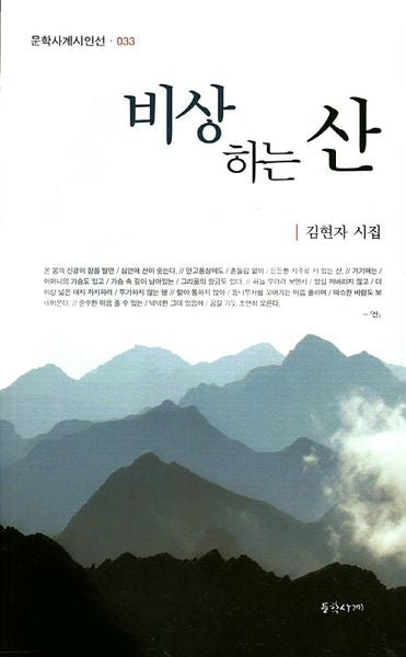 비상하는 산(문학사계시인선 33)