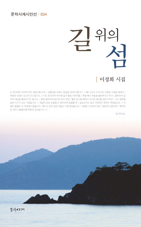 길 위의 섬(문학사계시인선 34)