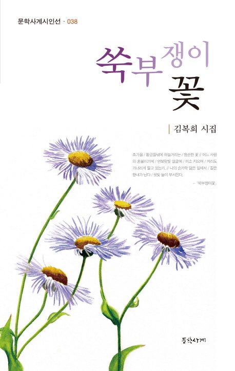쑥부쟁이 꽃(문학사계시인선 38)