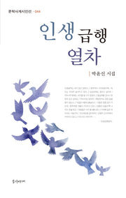 인생급행열차(문학사계시인선 44)