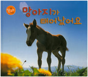 망아지가 태어났어요(땅꼬마 자연앨범 7)(양장본 HardCover)