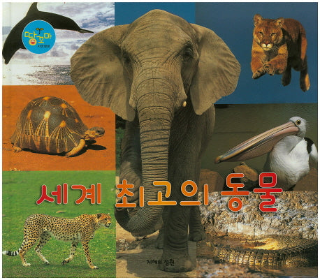 세계 최고의 동물(땅꼬마 자연앨범 25)(양장본 HardCover)